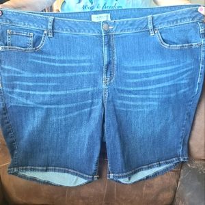 Lane bryant shorts